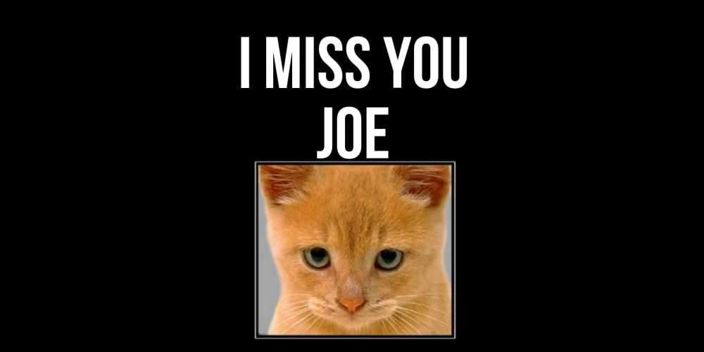 Greetings card с именем, Joe I miss you открытки рыжий котенок скучает по тебе Greetings with text for free download 