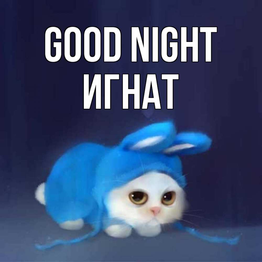 Greetings card с именем, Игнат Good night кот в голубом костюме кролика с ушками Greetings with text for free download 