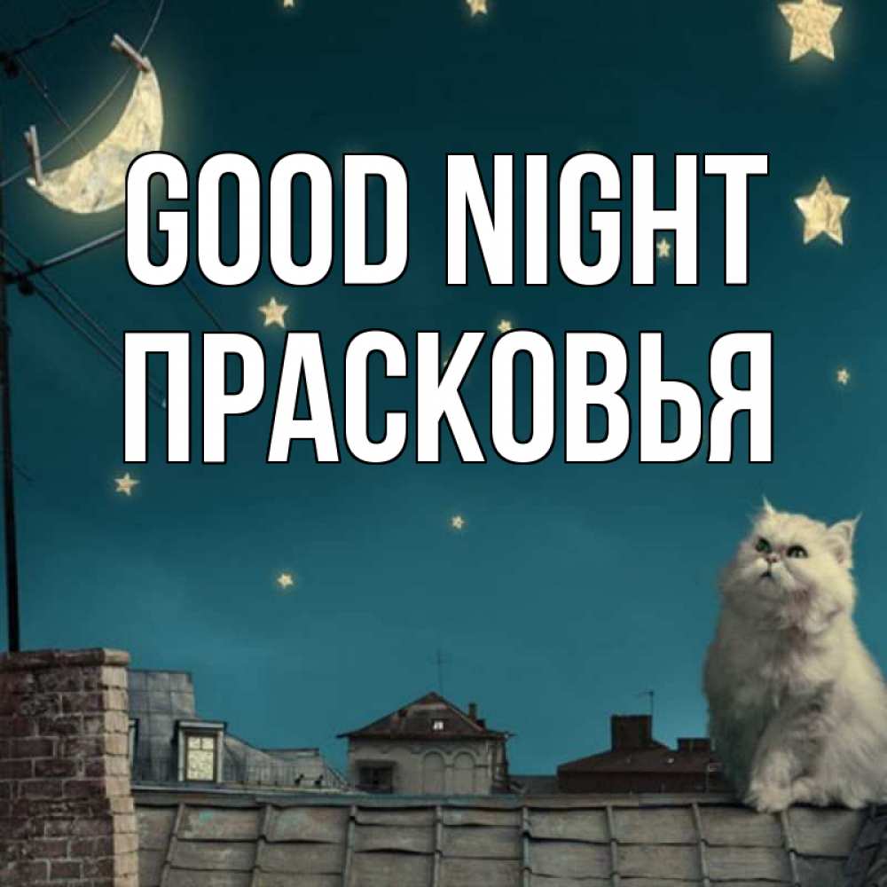 Greetings card с именем, Прасковья Good night белый кот сидит на крыше Greetings with text for free download 