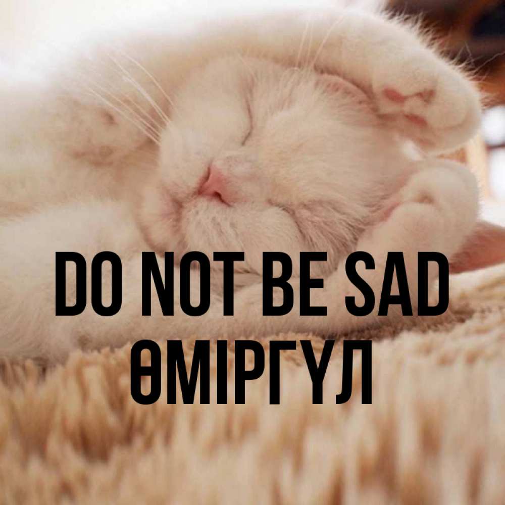 Greetings card с именем, ӨМІРГҮЛ Do not be sad Котенок спит Greetings with text for free download 