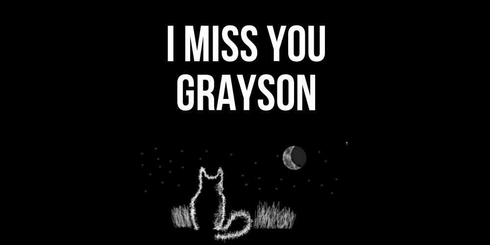 Greetings card с именем, Grayson I miss you кот Greetings with text for free download 