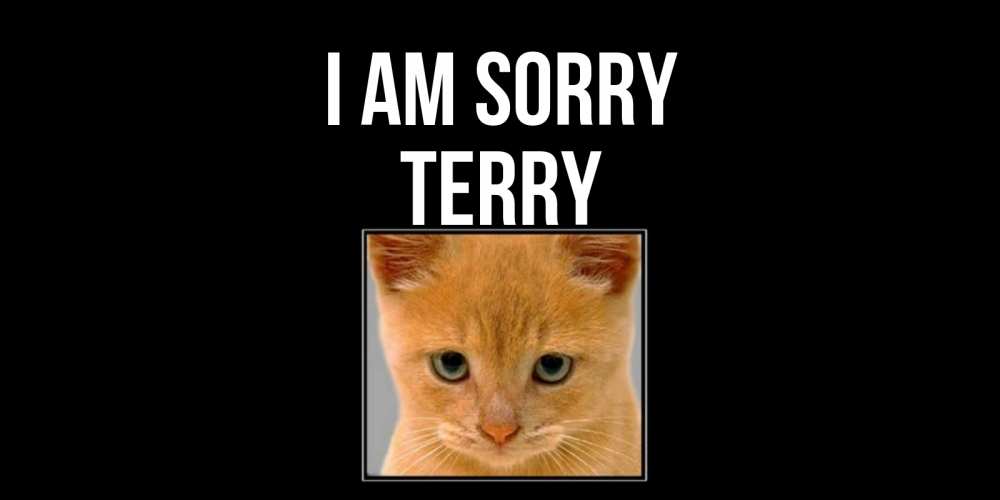 Greetings card с именем, Terry I am sorry рыжий грустный кот просит прощения Greetings with text for free download 