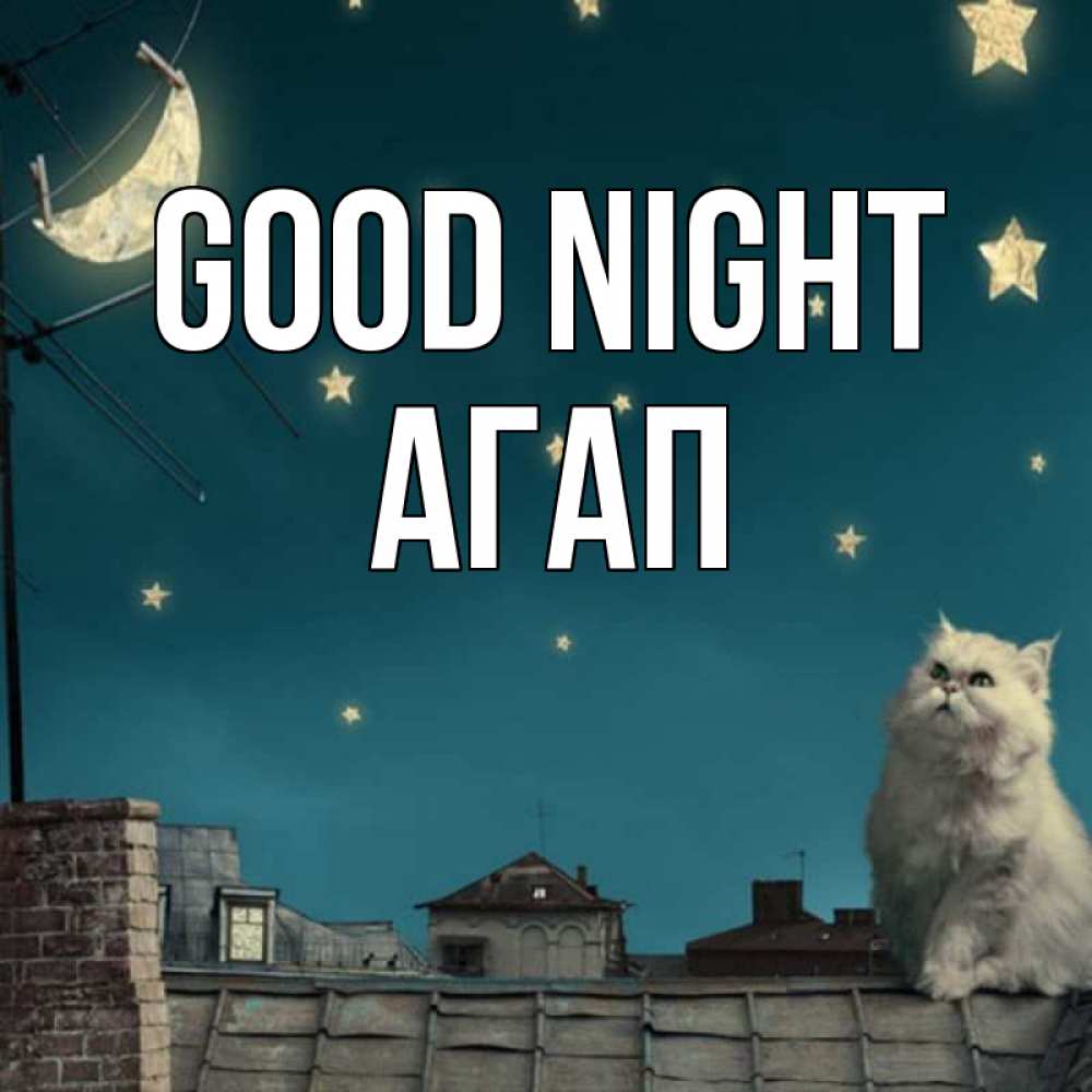 Greetings card с именем, Агап Good night белый кот сидит на крыше Greetings with text for free download 