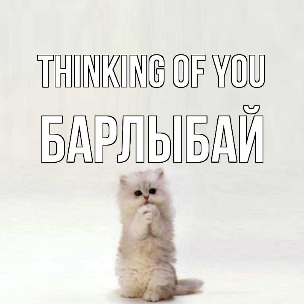 Greetings card с именем, Барлыбай Thinking of you кот стоит на задних лапах Greetings with text for free download 