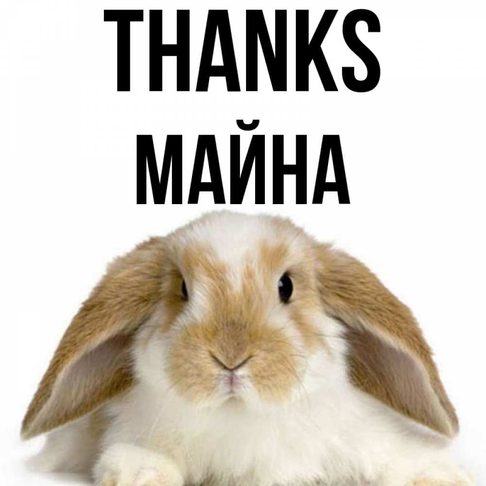 Greetings card с именем, МАЙНА Thanks коричнево белый заяц Greetings with text for free download 