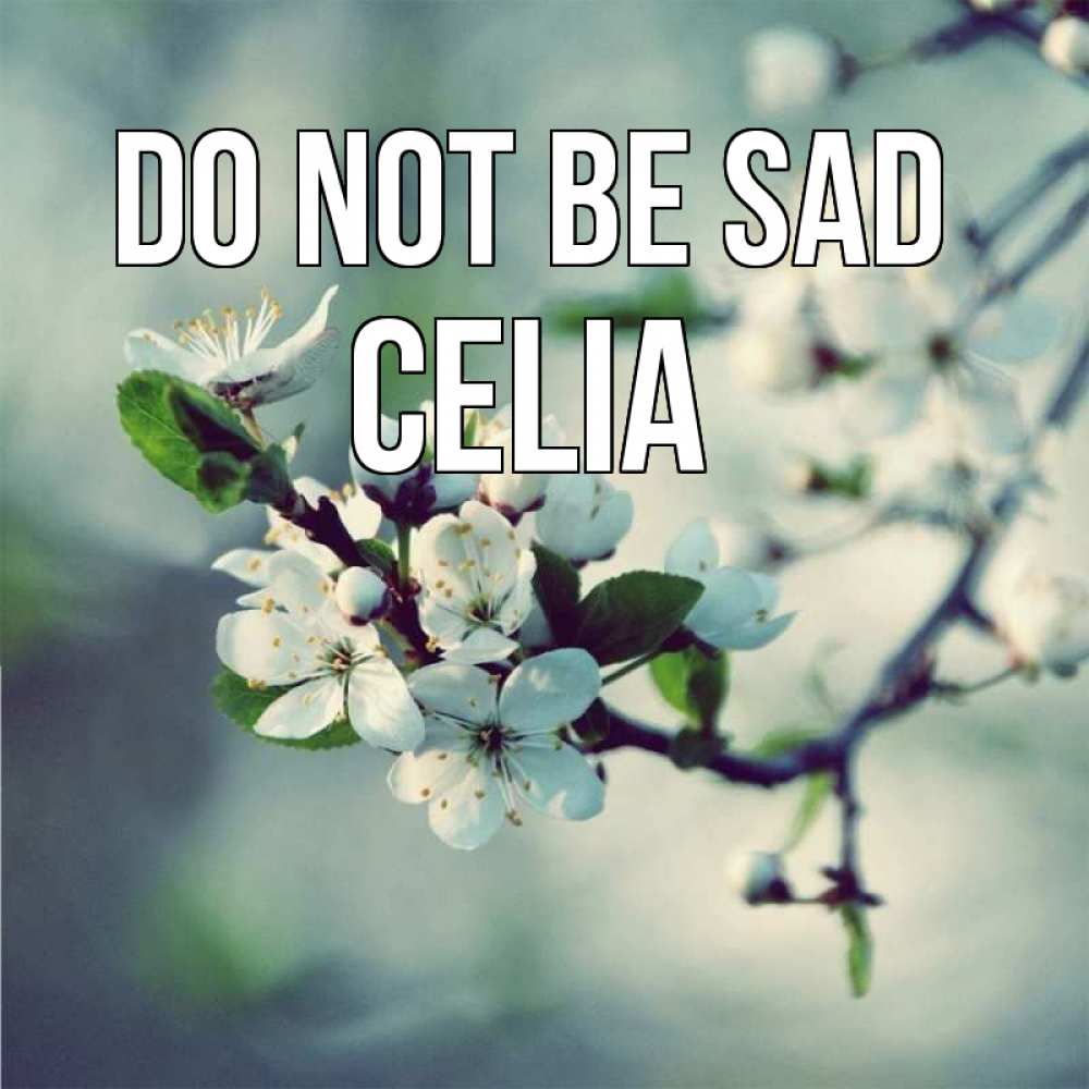 Greetings card с именем, Celia Do not be sad яблоня в цвету 1 Greetings with text for free download 