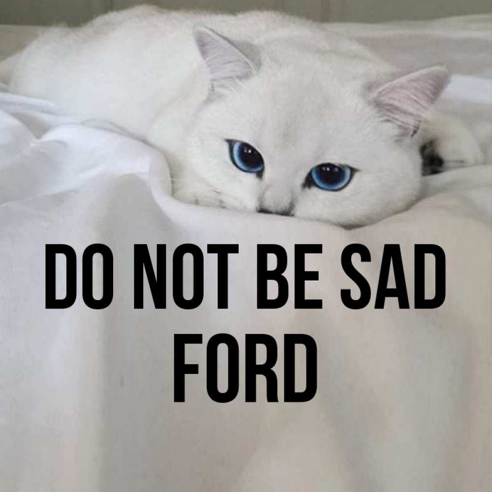 Greetings card с именем, Ford Do not be sad Голубоглазая кошка Greetings with text for free download 