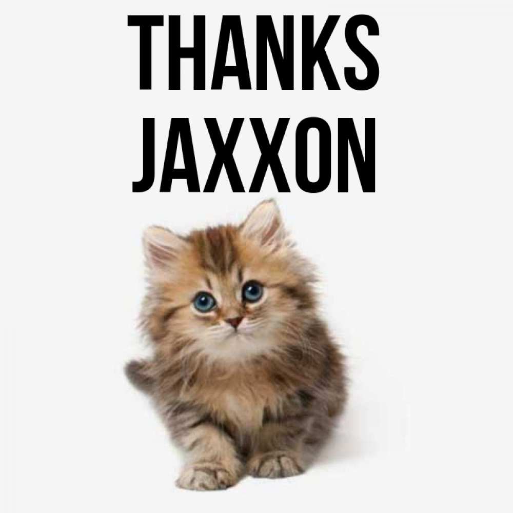 Greetings card с именем, Jaxxon Thanks пушистый котик Greetings with text for free download 
