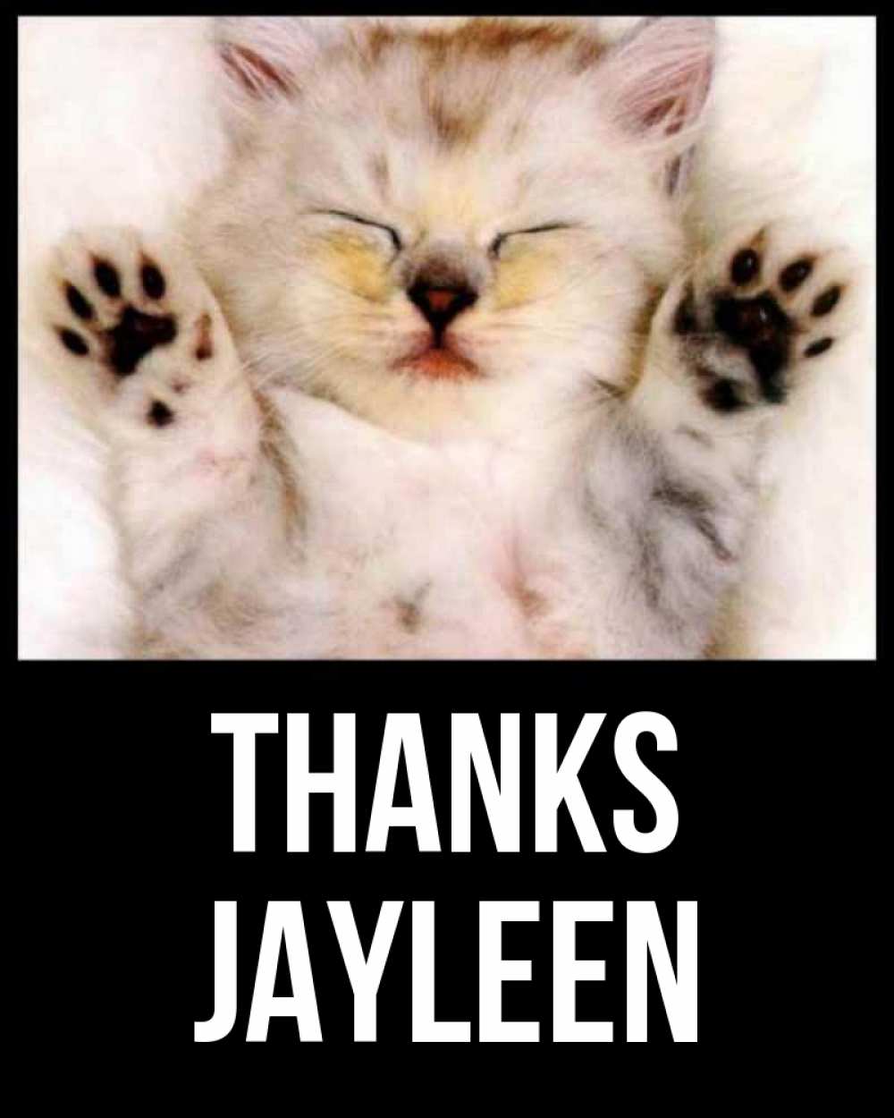 Greetings card с именем, Jayleen Thanks маленький котенок Greetings with text for free download 
