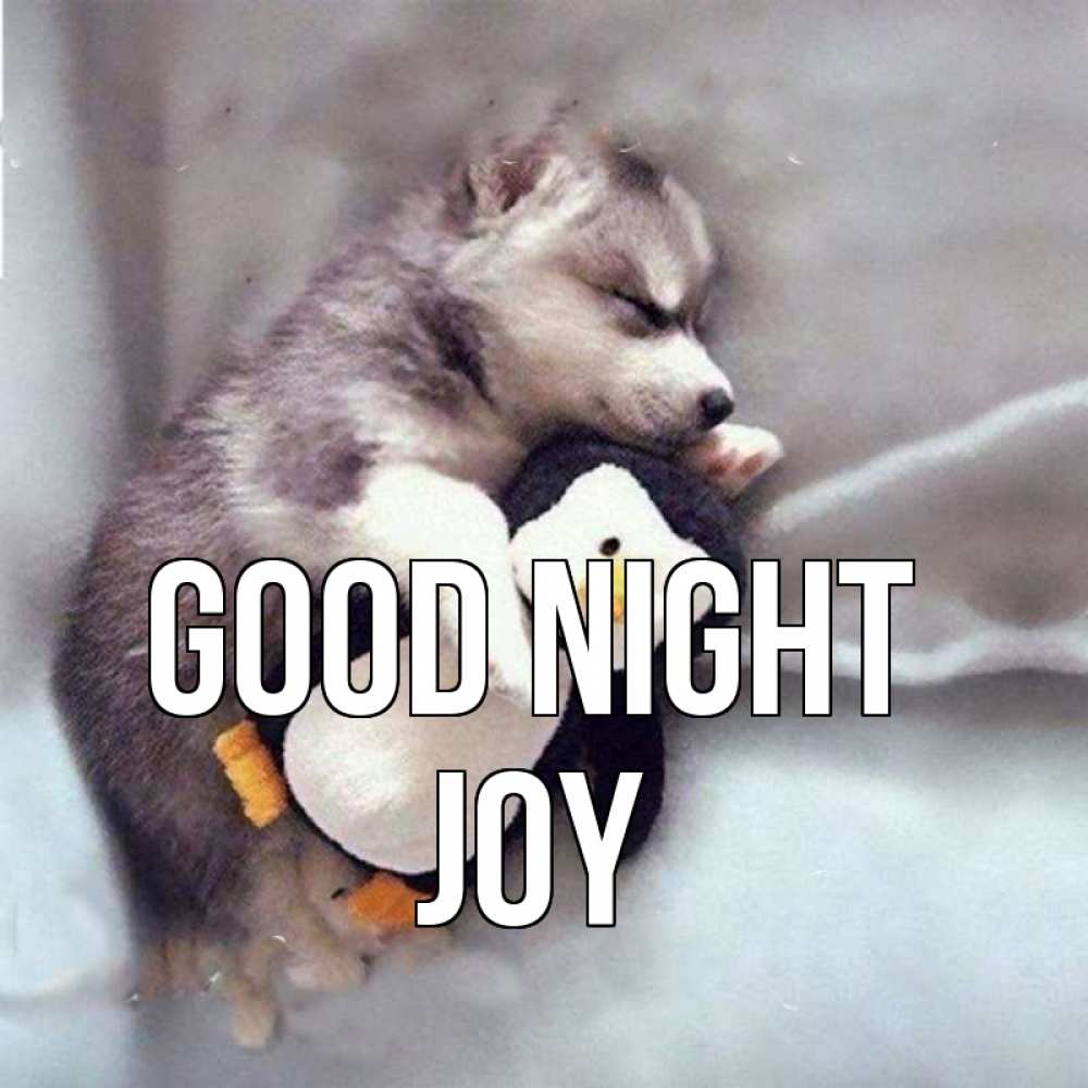 Greetings card с именем, Joy Good night обнимашки щенка и пингвина Greetings with text for free download 