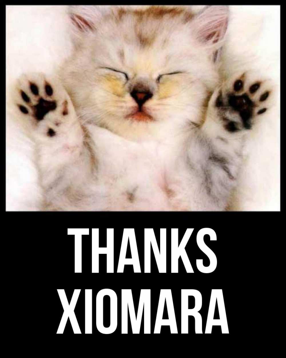 Greetings card с именем, Xiomara Thanks маленький котенок Greetings with text for free download 