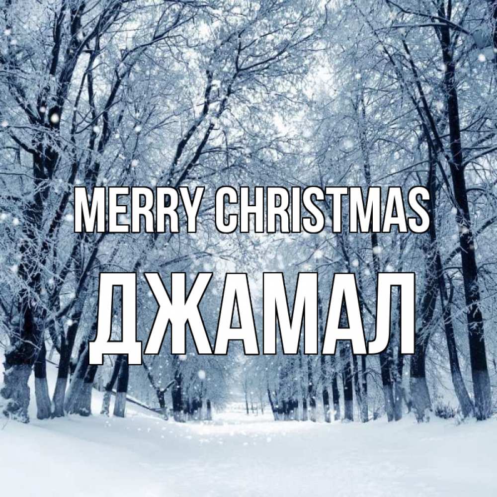 Greetings card с именем, Джамал Merry Christmas снег, лес, парк Greetings with text for free download 