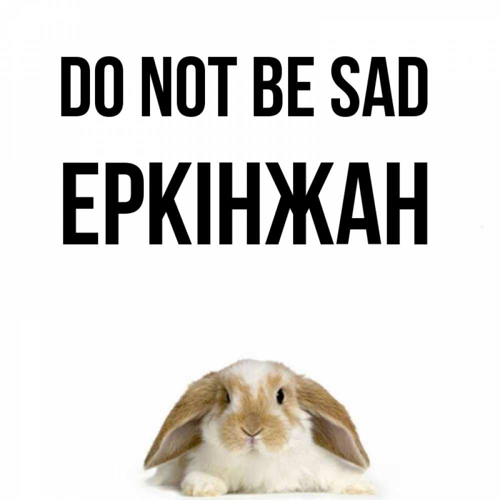 Greetings card с именем, Еркінжан Do not be sad коричнево белый заяц с большими ушками Greetings with text for free download 