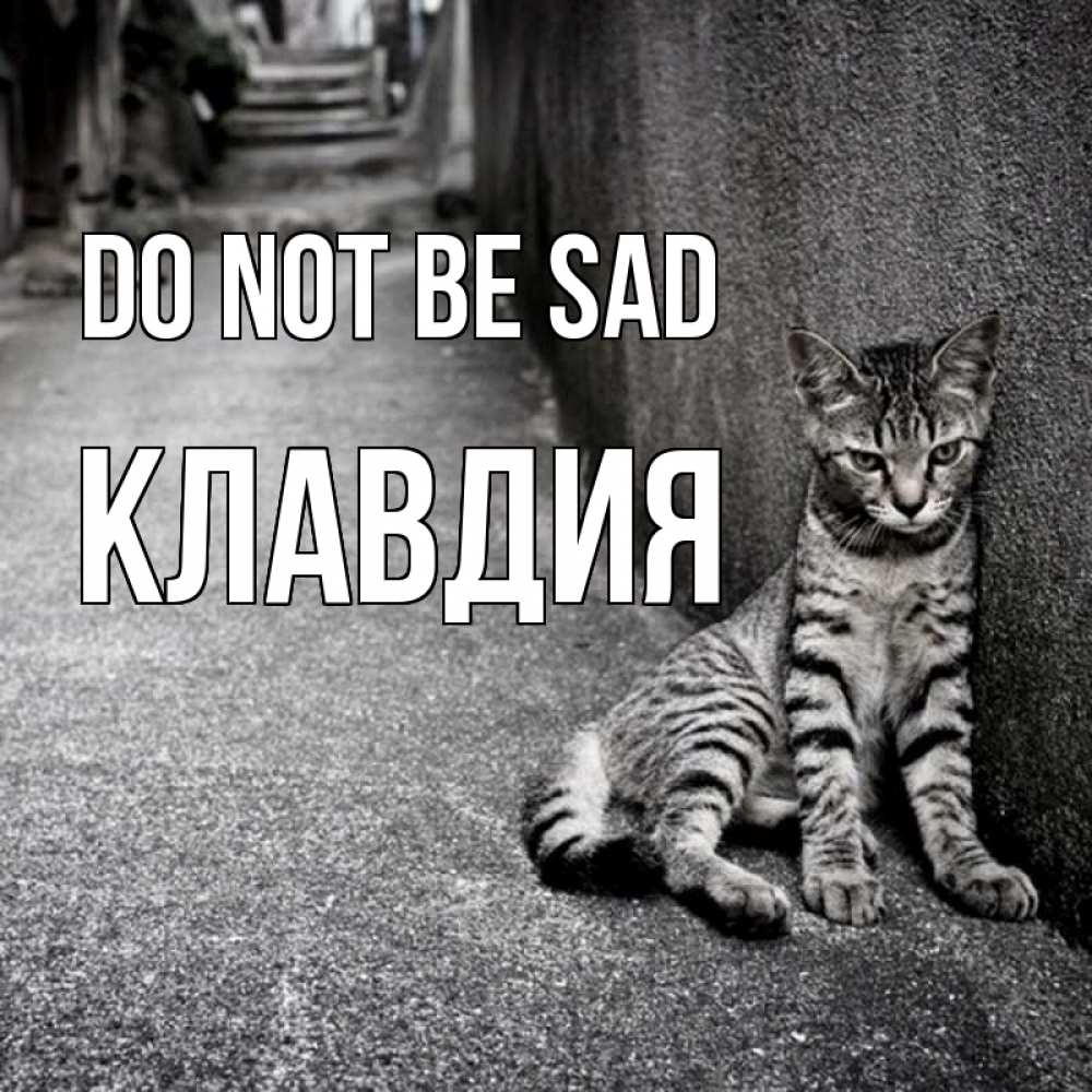 Greetings card с именем, Клавдия Do not be sad скучающий котик Greetings with text for free download 
