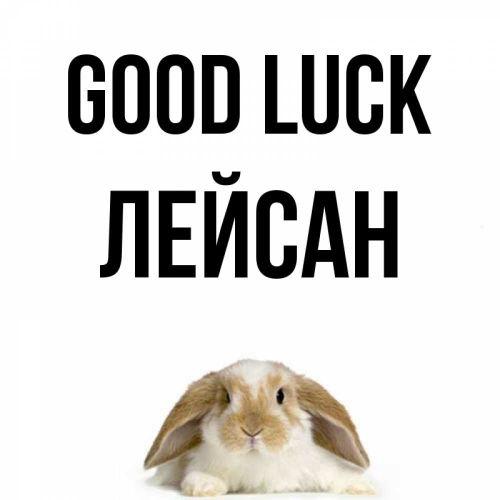 Greetings card с именем, Лейсан Good luck открытки с произвольным текстом который можно вставить в открытку и создать ее самостоятельно бесплатно онлайн Greetings with text for free download 
