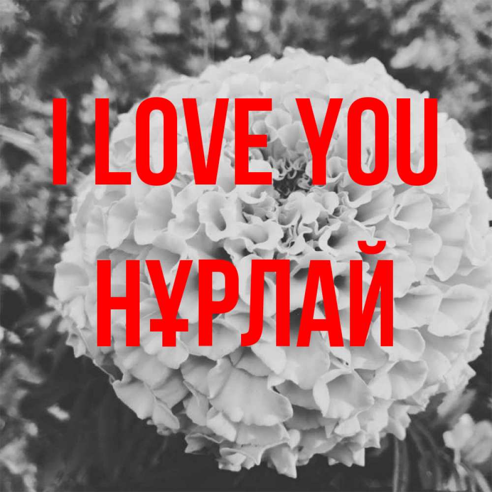 Greetings card с именем, НҰРЛАЙ I love you подпись Greetings with text for free download 