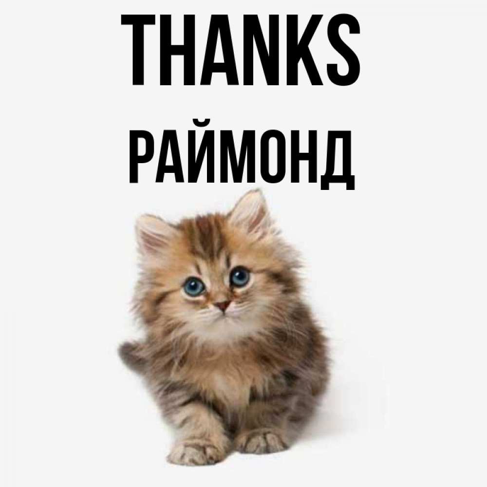Greetings card с именем, Раймонд Thanks пушистый котик Greetings with text for free download 