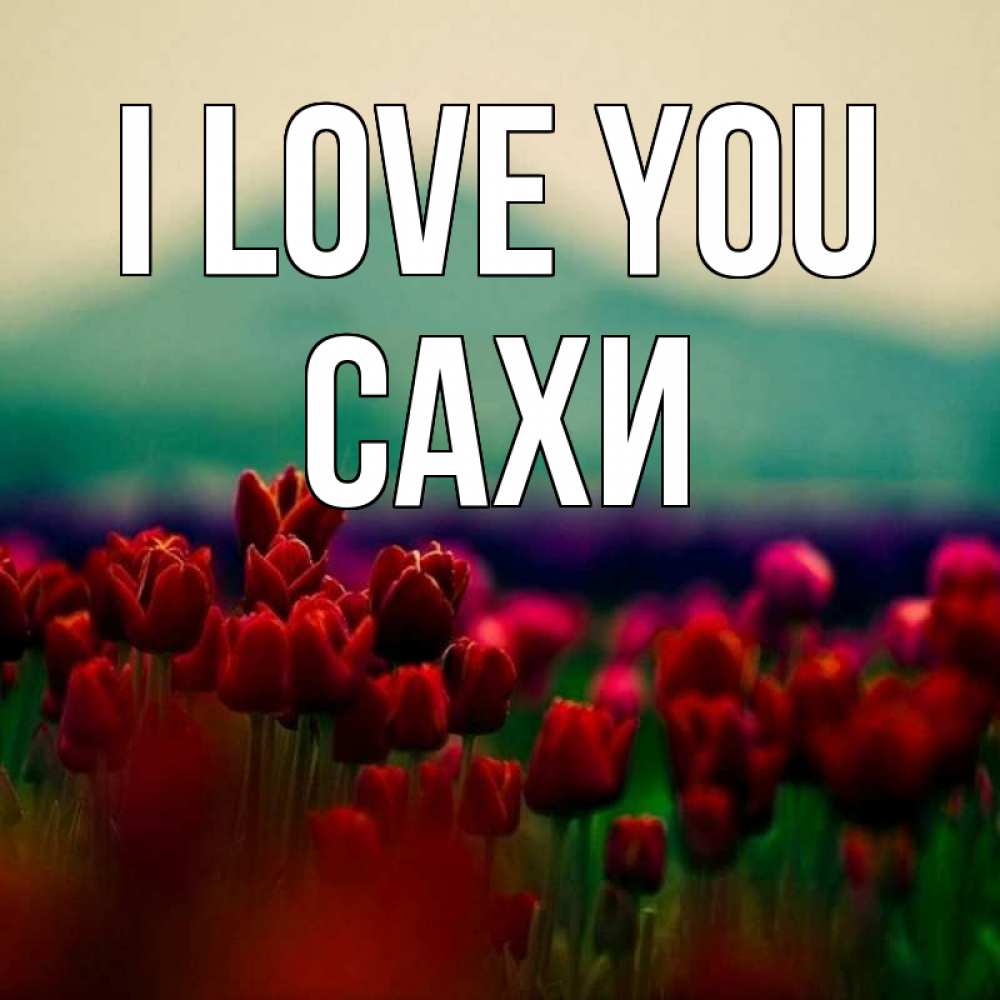 Greetings card с именем, САХИ I love you тюльпаны 4 Greetings with text for free download 
