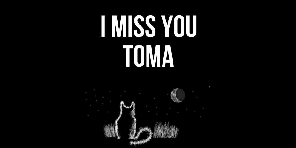 Greetings card с именем, Тома I miss you кот Greetings with text for free download 