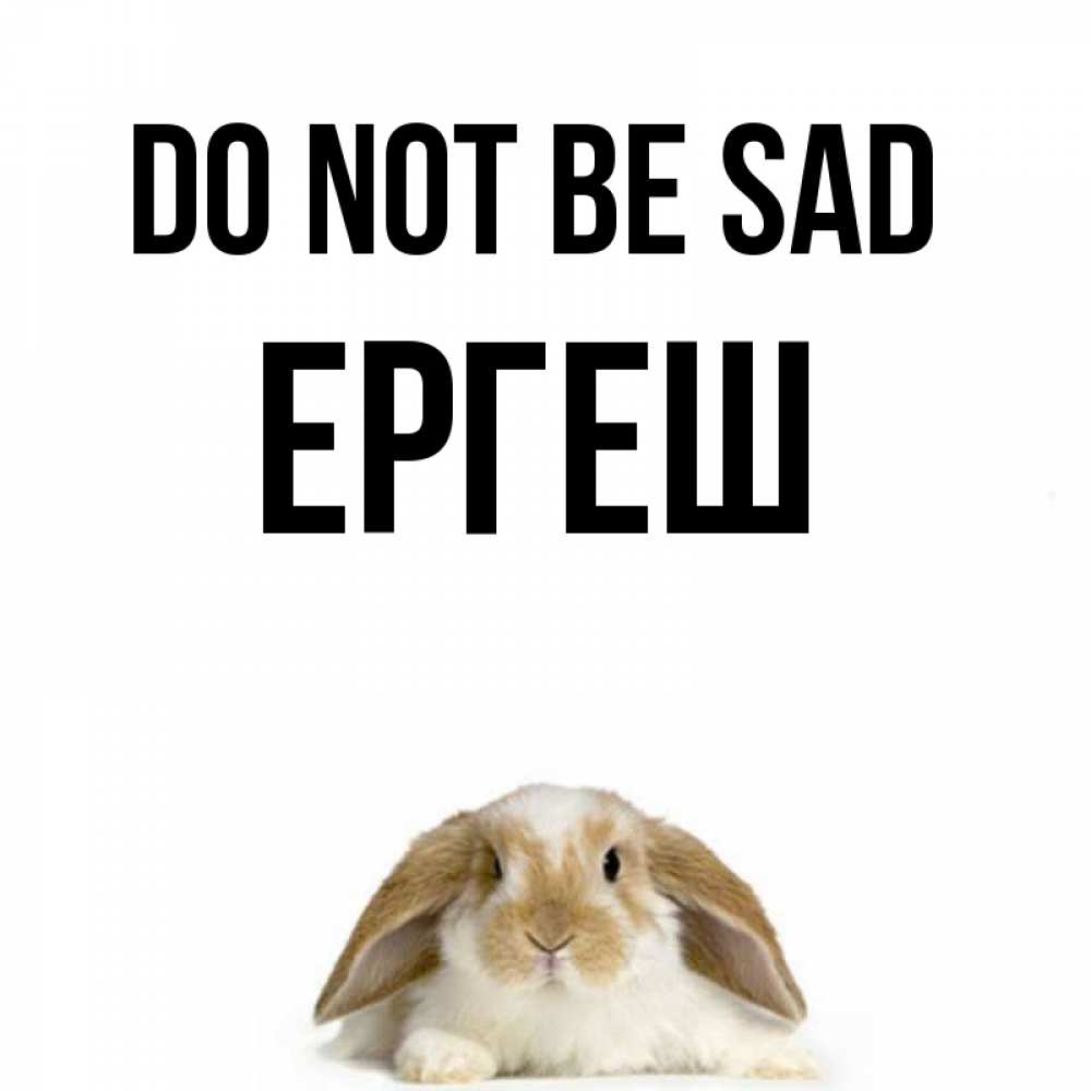 Greetings card с именем, Ергеш Do not be sad коричнево белый заяц с большими ушками Greetings with text for free download 