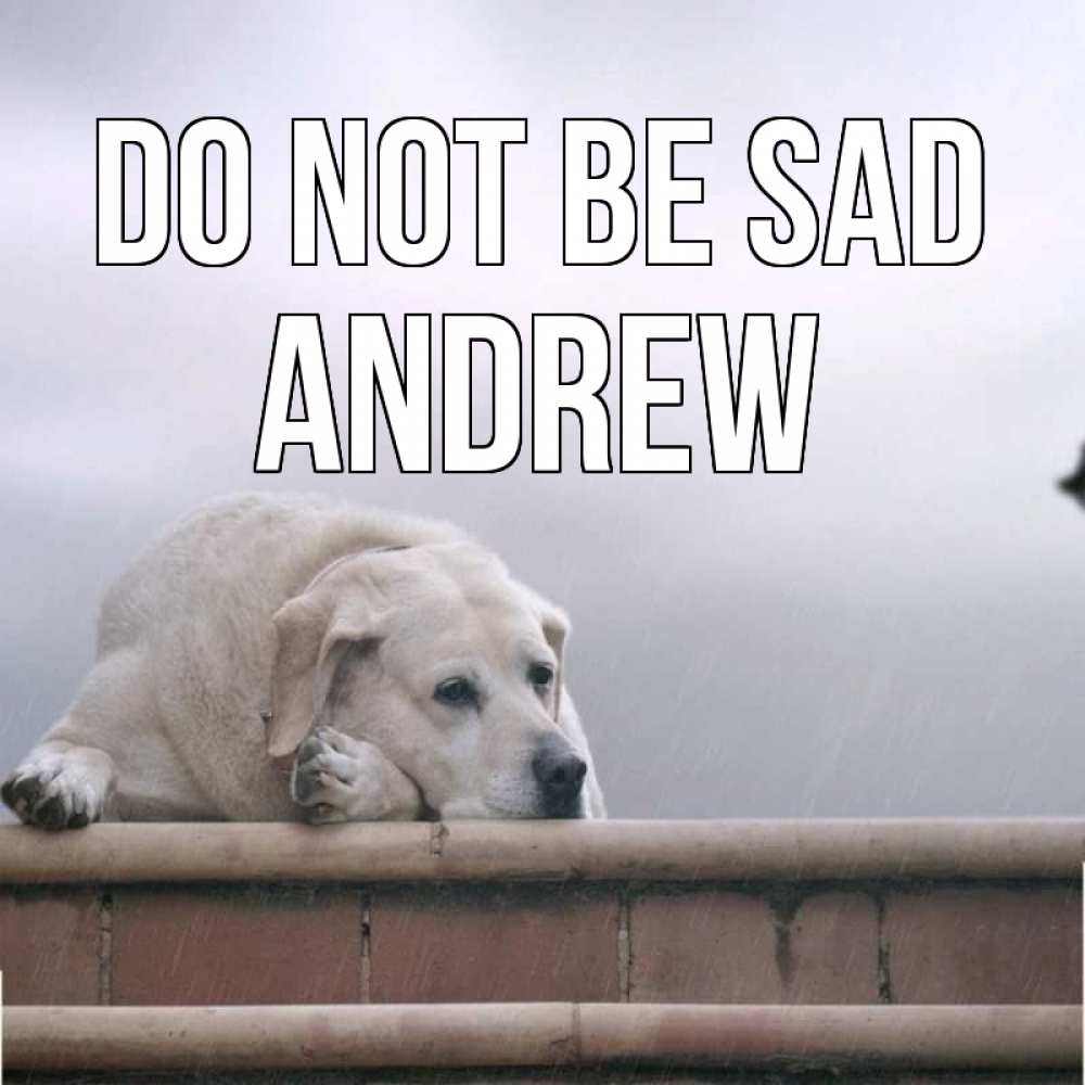 Greetings card с именем, Andrew Do not be sad белый пес 1 Greetings with text for free download 