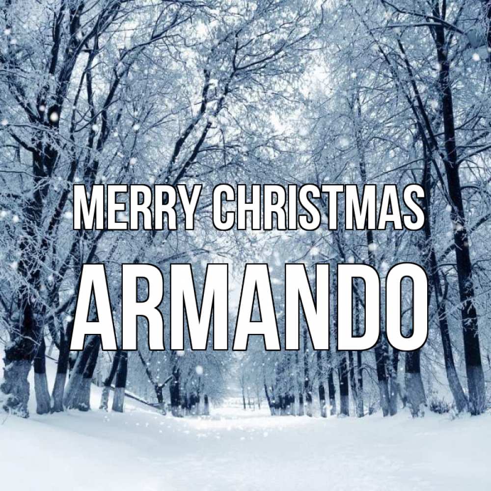 Greetings card с именем, Armando Merry Christmas снег, лес, парк Greetings with text for free download 