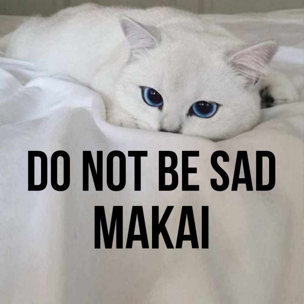 Greetings card с именем, Makai Do not be sad Голубоглазая кошка Greetings with text for free download 