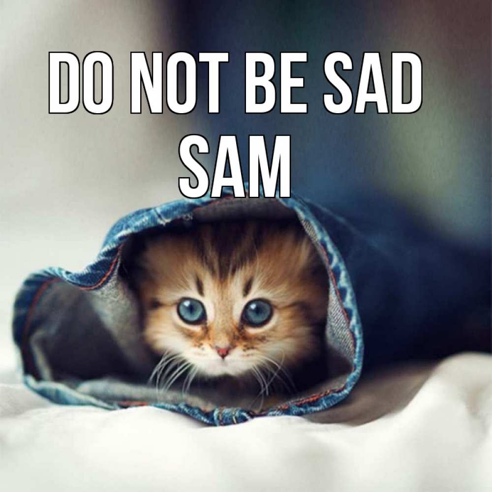 Greetings card с именем, Sam Do not be sad рыжик котик Greetings with text for free download 