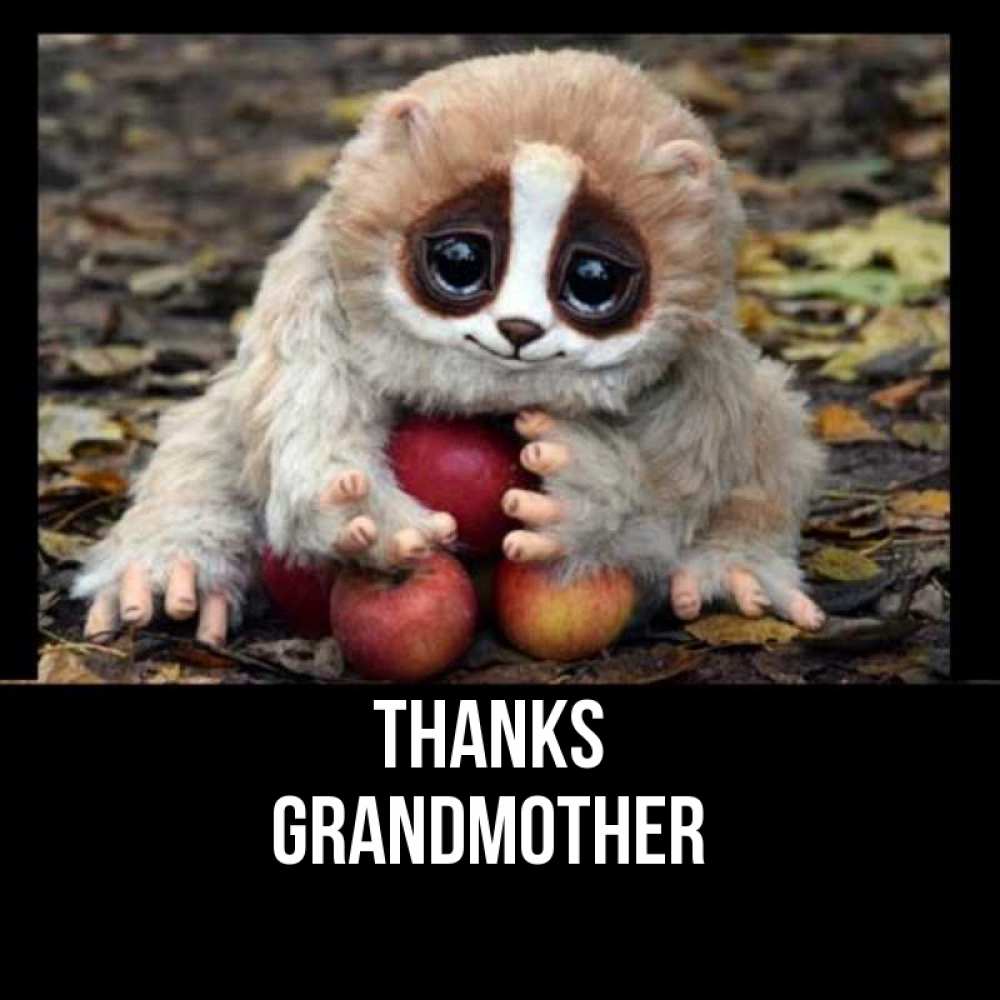 Greetings card с именем, grandmother Thanks прикольное животное Greetings with text for free download 