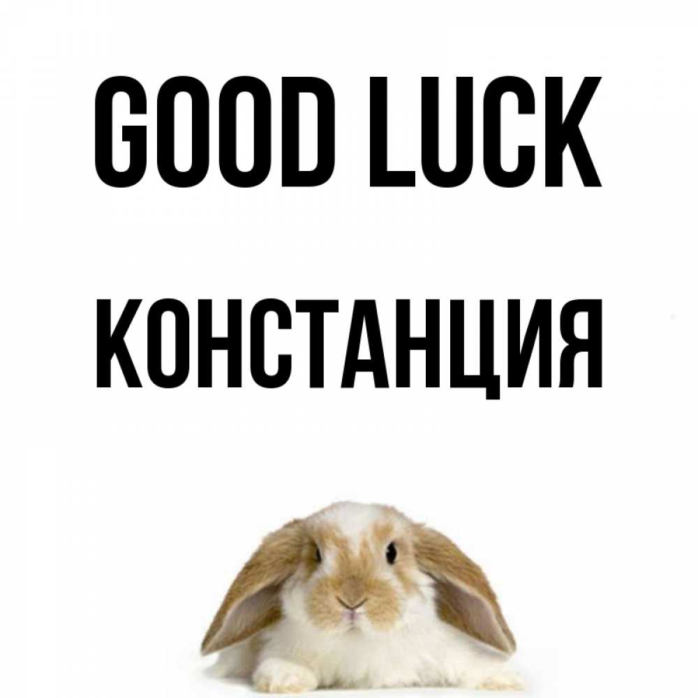 Greetings card с именем, Констанция Good luck открытки с произвольным текстом который можно вставить в открытку и создать ее самостоятельно бесплатно онлайн Greetings with text for free download 