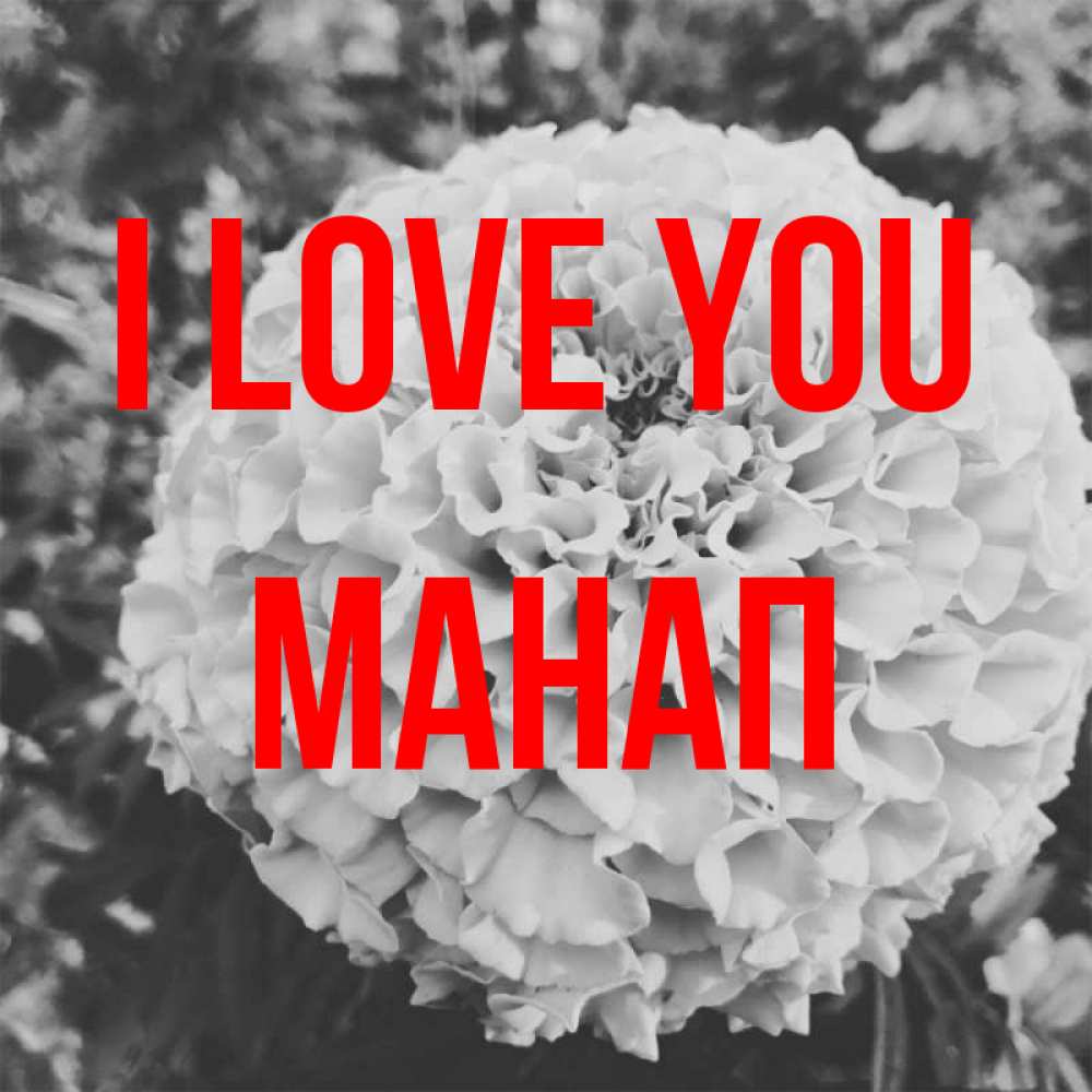 Greetings card с именем, МАНАП I love you подпись Greetings with text for free download 
