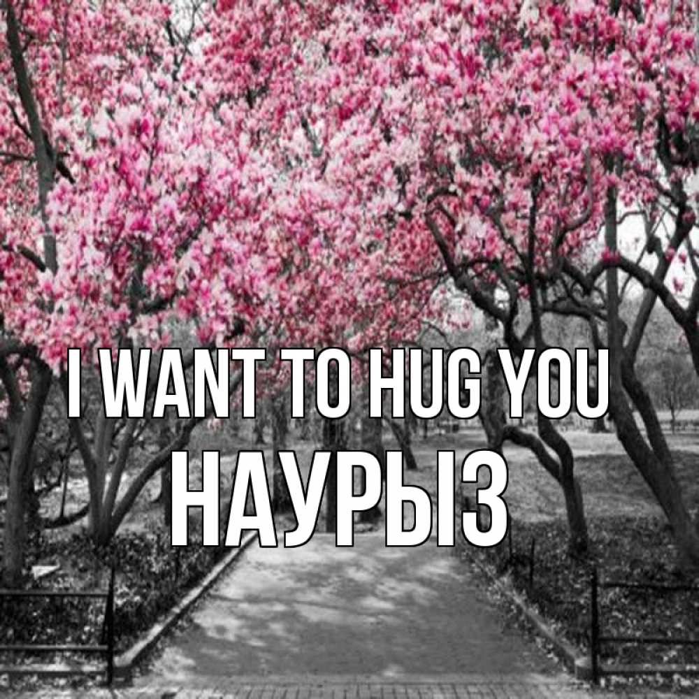 Greetings card с именем, НАУРЫЗ I want to hug you обработанное фото Greetings with text for free download 