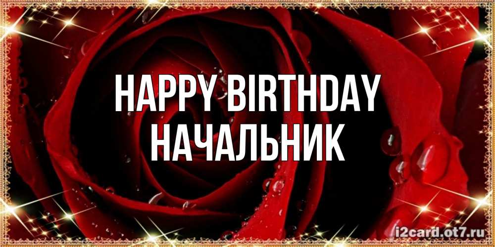 Greetings card с именем, Начальник Happy Birthday цветок в росе на день рождения Greetings with text for free download 