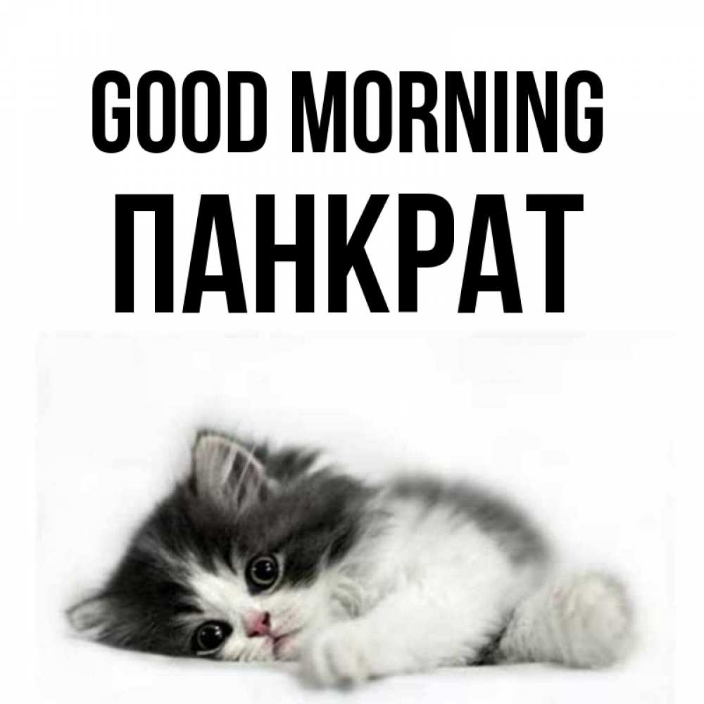 Greetings card с именем, Панкрат Good morning кот лапки Greetings with text for free download 