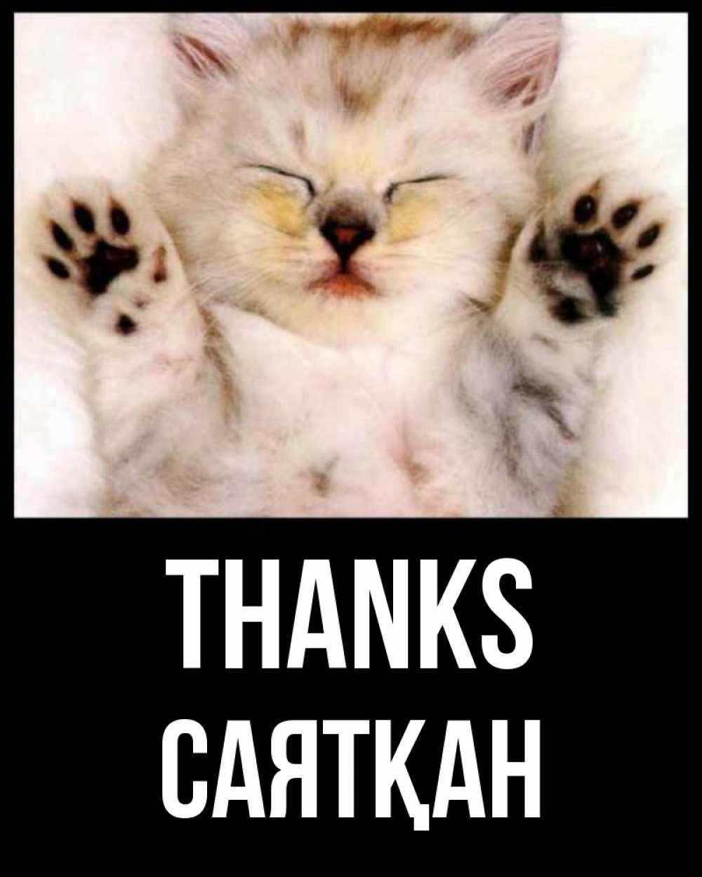 Greetings card с именем, САЯТҚАН Thanks маленький котенок Greetings with text for free download 