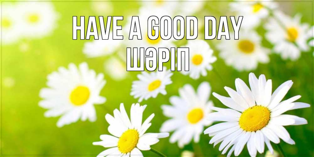 Greetings card с именем, ШӘРІП Have a good day открытка с ромашками на зеленом фоне Greetings with text for free download 
