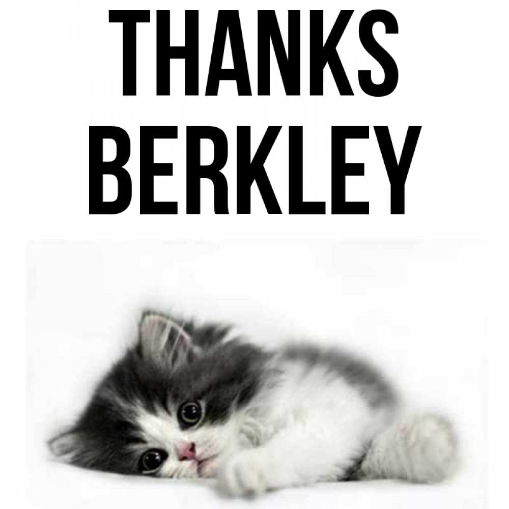 Greetings card с именем, Berkley Thanks черный и белый кот Greetings with text for free download 