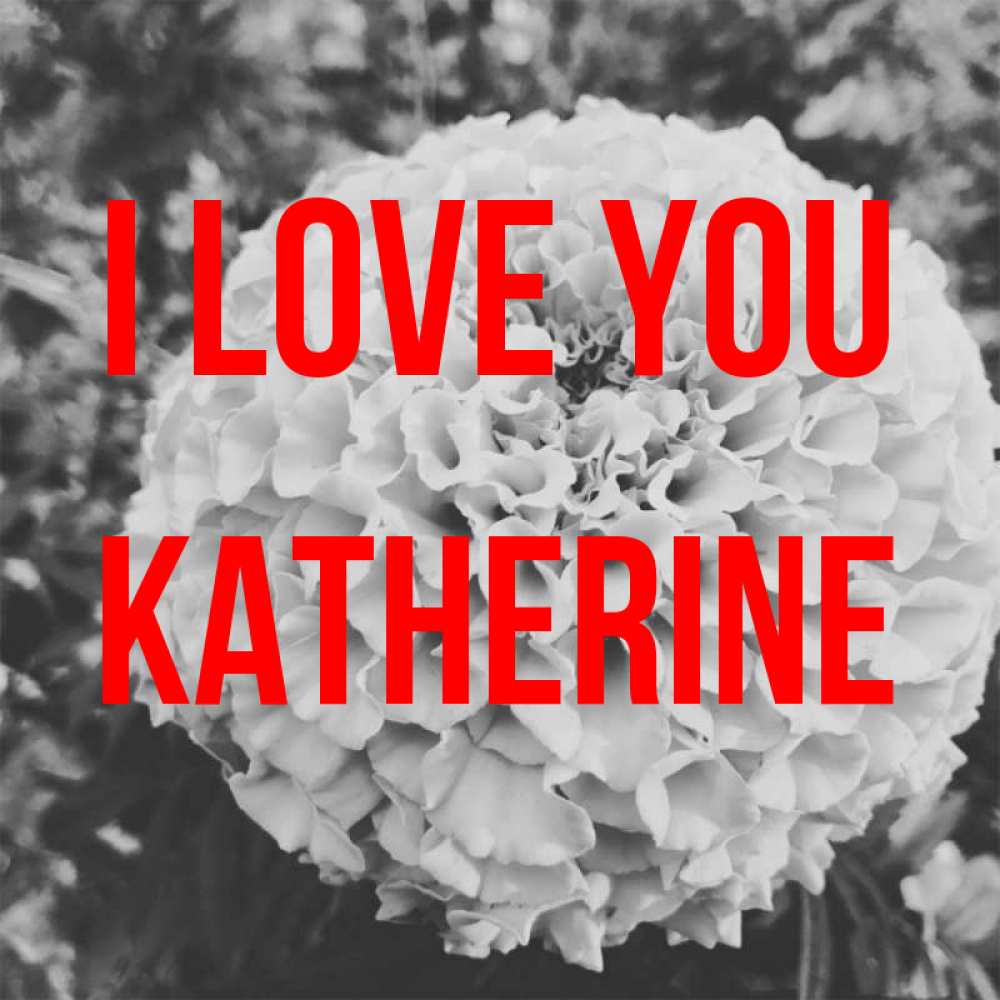 Greetings card с именем, Katherine I love you подпись Greetings with text for free download 