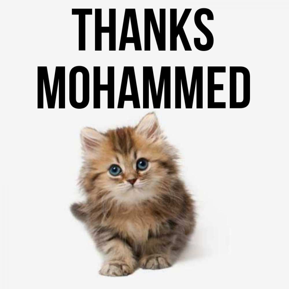 Greetings card с именем, Mohammed Thanks пушистый котик Greetings with text for free download 
