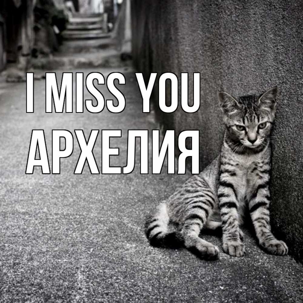 Greetings card с именем, Архелия I miss you одиноко котику Greetings with text for free download 