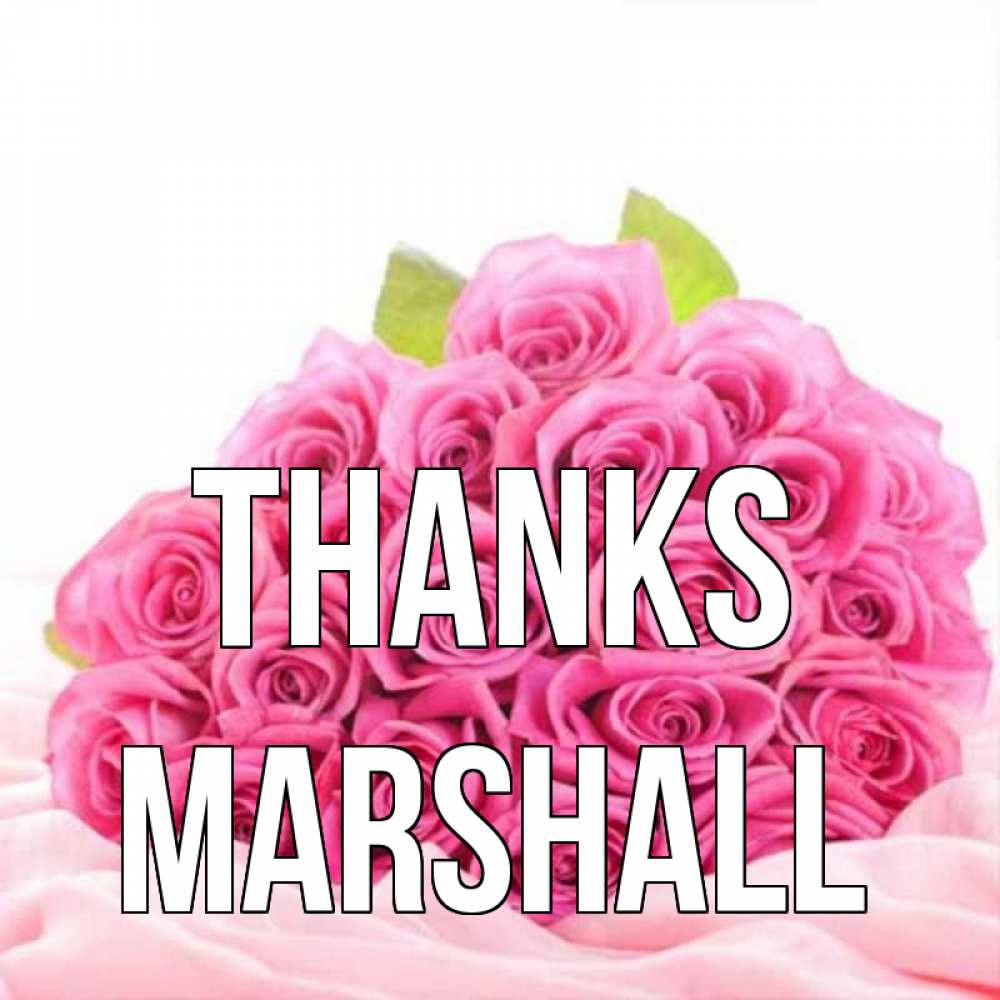 Greetings card с именем, Marshall Thanks розовые розы с подписью Greetings with text for free download 
