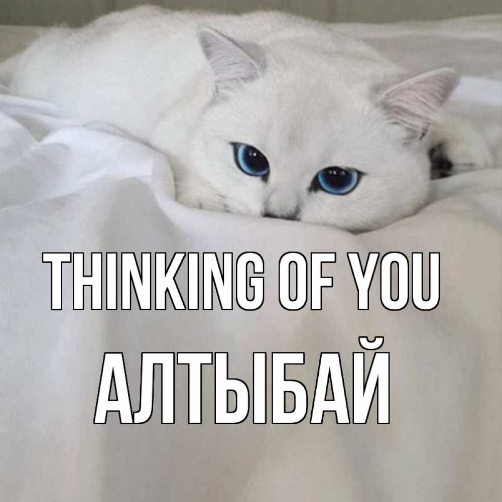 Greetings card с именем, Алтыбай Thinking of you я очень по тебе скучаю и тоскую Greetings with text for free download 