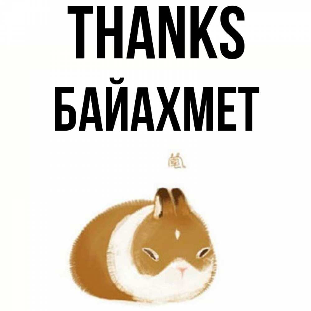 Greetings card с именем, Байахмет Thanks коричнево белый домашний питомец Greetings with text for free download 