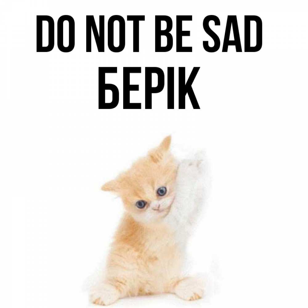 Greetings card с именем, Берік Do not be sad просящий кот Greetings with text for free download 