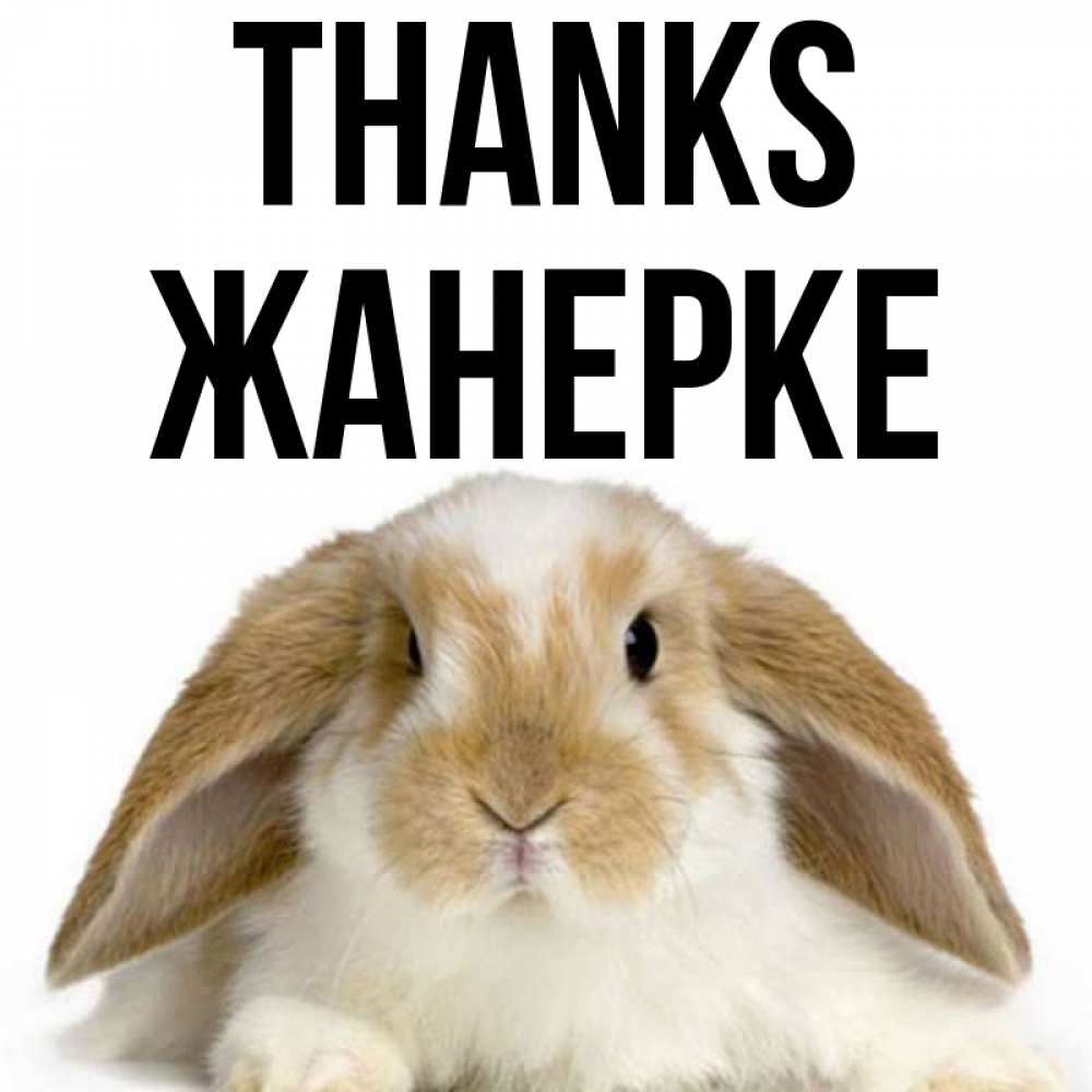 Greetings card с именем, ЖАНЕРКЕ Thanks коричнево белый заяц Greetings with text for free download 