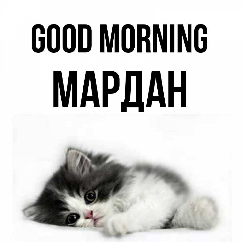 Greetings card с именем, МАРДАН Good morning кот лапки Greetings with text for free download 