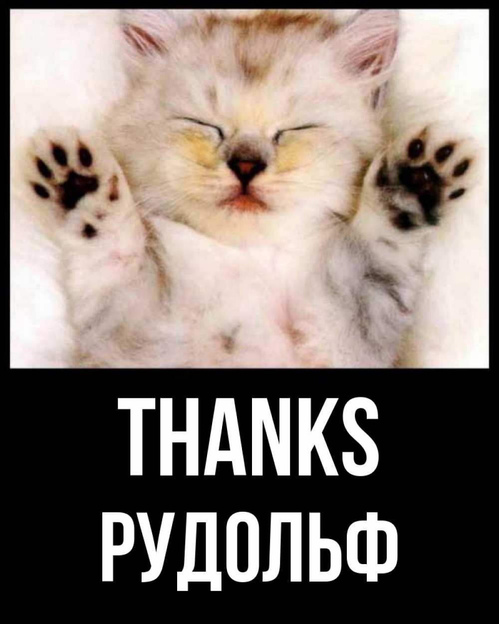 Greetings card с именем, Рудольф Thanks маленький котенок Greetings with text for free download 