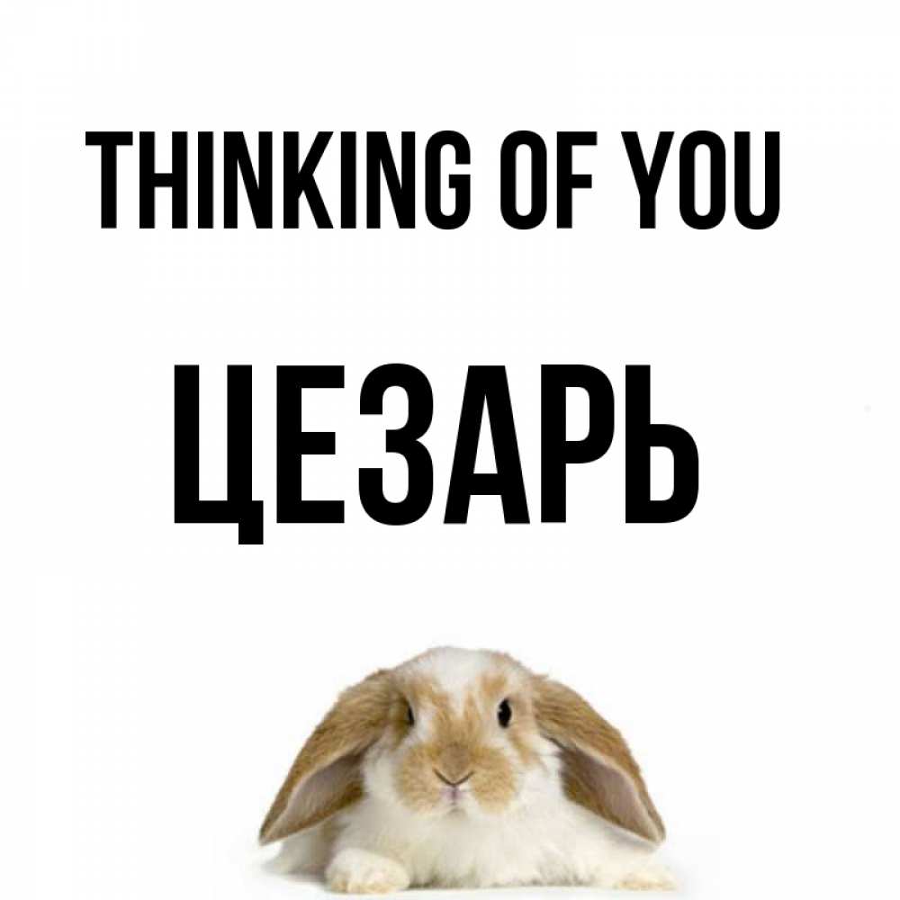 Greetings card с именем, Цезарь Thinking of you подписать своими руками онлайн Greetings with text for free download 