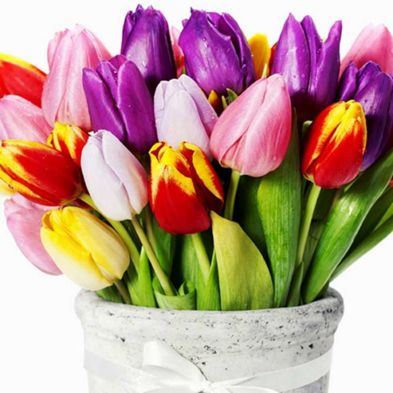 Открытка тюльпаны в вазе  букет  happy women`s day 