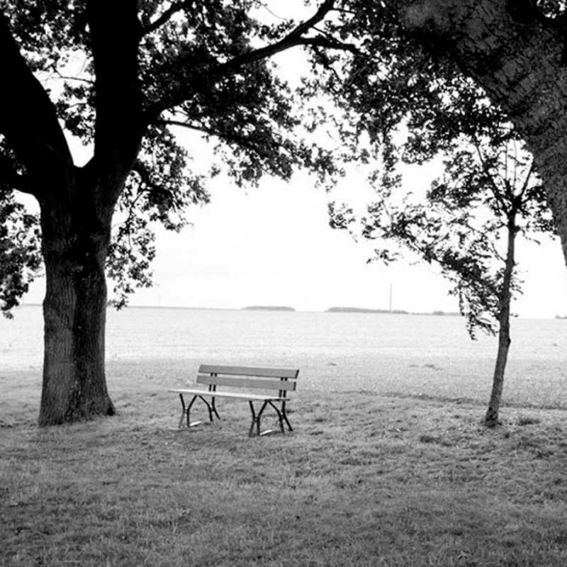 Открытка парк с лавочкеой  мощное дерево  Do not be sad 